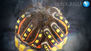 Venus Soils